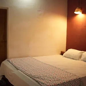  Hostel Zebra